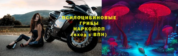 мдпв Белокуриха