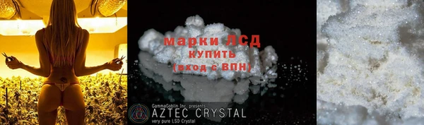 индика Белоозёрский
