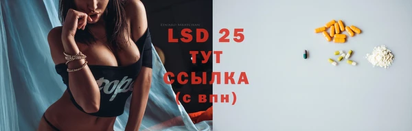 индика Белоозёрский