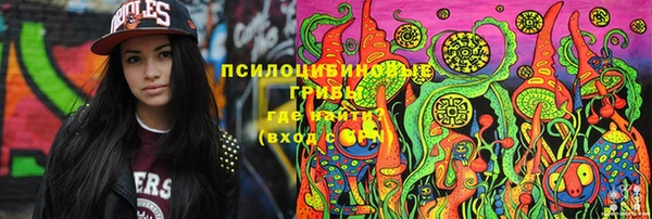 мдпв Белокуриха