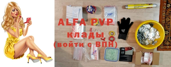 индика Белоозёрский