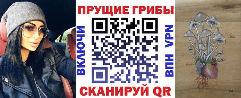 хочу наркоту  Курильск  блэк спрут   Псилоцибиновые грибы Cubensis 